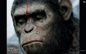 Dawn Of The Planet Of The Apes